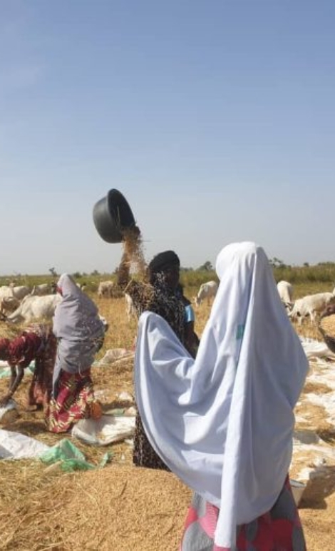 Farm-labour-3-696x522